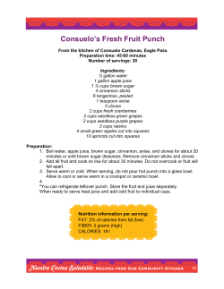 Consuelo`s Fresh Fruit Punch
