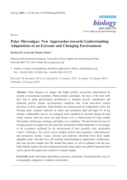 Polar Microalgae: New Approaches towards Understanding