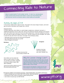 Connecting Kids to Nature