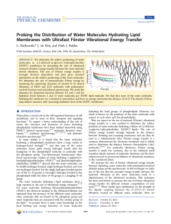 Probing the Distribution of Water Molecules Hydrating Lipid