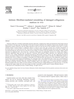 Intrinsic fibroblast-mediated remodeling of damaged collagenous