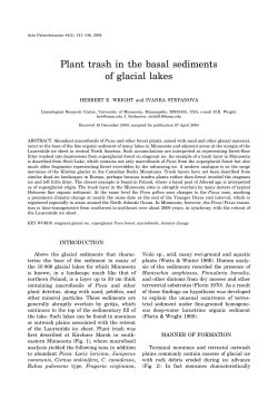 Plant trash in the basal sediments of glacial lakes