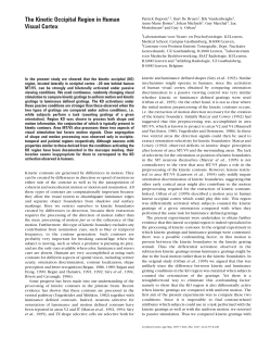 The Kinetic Occipital Region in Human Visual