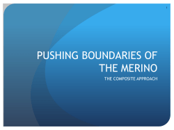 PUSHING BOUNDARIES OF THE MERINO