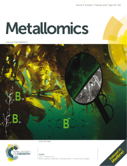 Boron uptake, localization, and speciation in marine brown algae