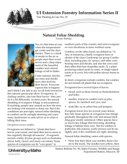 Natural Foliar Shedding