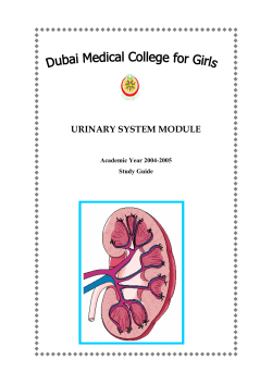 URINARY SYSTEM MODULE