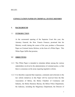 The White Paper on Criminal Justice Reform