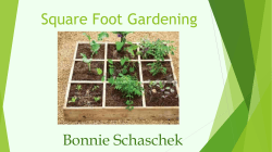 Square Foot Gardening