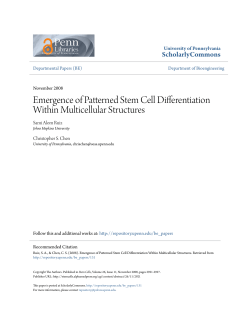 Emergence of Patterned Stem Cell Differentiation Within