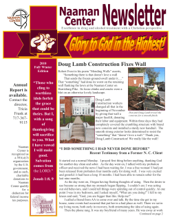 Doug Lamb Construction Fixes Wall