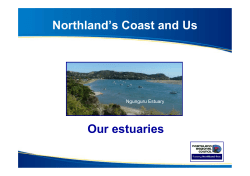 Our estuaries PDF - Northland Regional Council