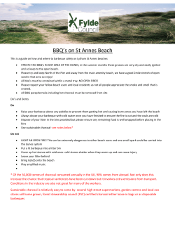 Beach BBQ Do`s and Dont`s