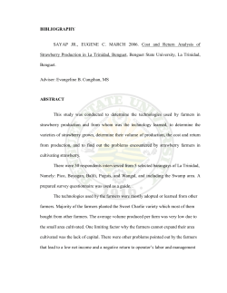 Cost and Return Analysis of Strawberry Production in La Trinidad