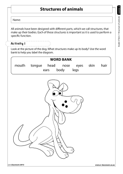 Structures of animals - E
