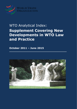 WTO Analytical Index: Supplement Covering New Developments in