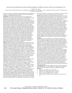 isolation and identification of mitochondria in normal human articular