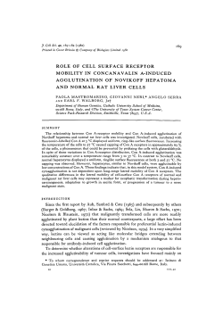 role of cell surface receptor mobility in concanavalin a