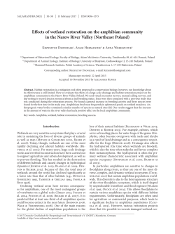 Effects of wetland restoration on the amphibian community in the