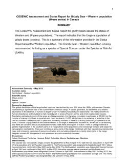 COSEWIC Assessment and Status Report for Grizzly Bear