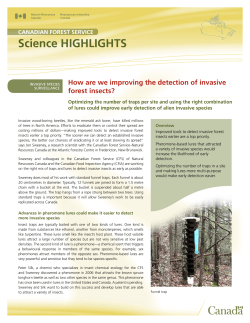 How are we improving the detection of invasive forest