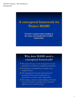 A conceptual framework for Project MAMI