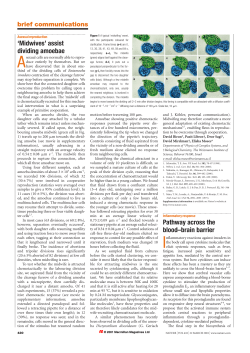 22.3 BC mx - Weizmann Institute of Science