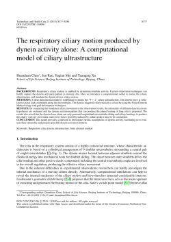 The respiratory ciliary motion produced by dynein activity alone: A