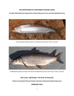 THE WHITEFISHES OF WISCONSIN`S INLAND LAKES: John Lyons