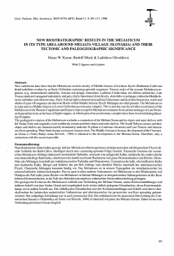 new biostratigraphic results in the meliaticum in its type area around