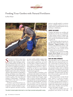 Feeding Your Garden with Natural Fertilizers