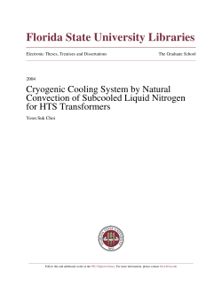 Cryogenic Cooling System By Natural Convection Of