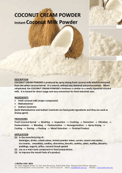 COCONUT CREAM POWDER Instant Coconut Milk Powder