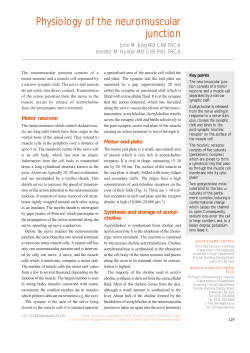 Physiology of the neuromuscular junction