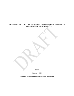 Adult Pacific lamprey passage is poor at traditional fishways in the