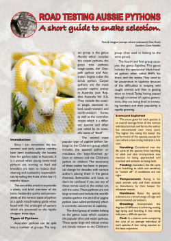 road testing aussie pythons