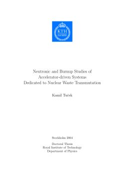 Neutronic and Burnup Studies of Accelerator-driven
