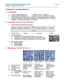 Lecture: "Gypsum Products"