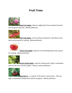 Fruit Trees