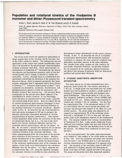 Population and rotational kinetics of the rhodamine B monomer and