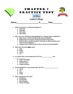 Chapter 7 Practice Test - Charles Pinckney Elementary