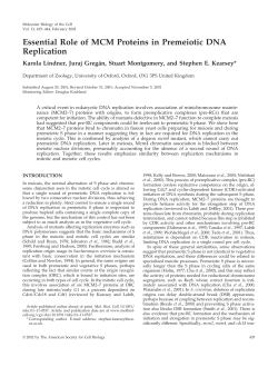 Essential Role of MCM Proteins in Premeiotic DNA Replication