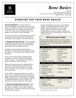 Bone Basics