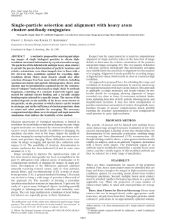 Single-particle selection and alignment with heavy atom cluster