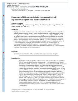 Enhanced mRNA cap methylation increases Cyclin D1 expression