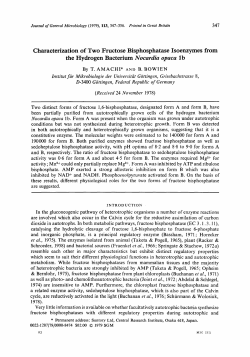 Characterization of Two Fructose Bisphosphatase
