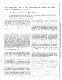 Thiazolidinediones inhibit MDCK cyst growth through disrupting