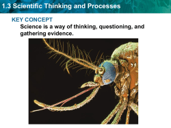 1.3 Scientific Thinking and Processes Scientific Method Process