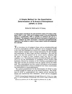 as a PDF
