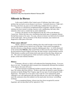 Silicosis in Horses - Steinbeck Country Equine Clinic